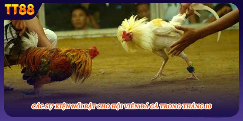 Các sự kiện nổi bật cho hội viên đá gà trong tháng 10