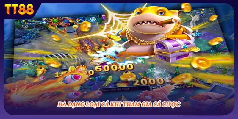 Đa dạng loại cá khi tham gia cá cược