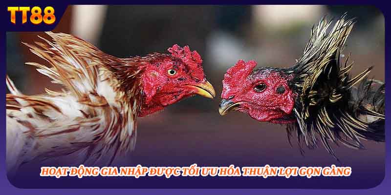 Hoạt động gia nhập được tối ưu hóa thuận lợi gọn gàng 