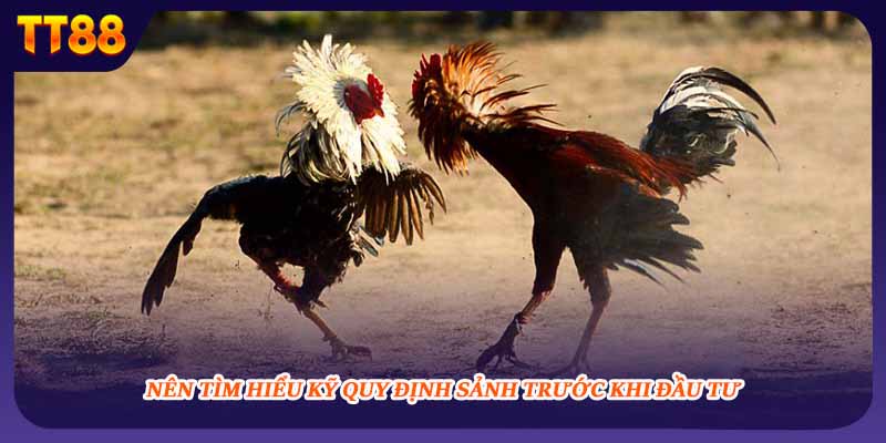 Nên tìm hiểu kỹ quy định sảnh trước khi đầu tư 