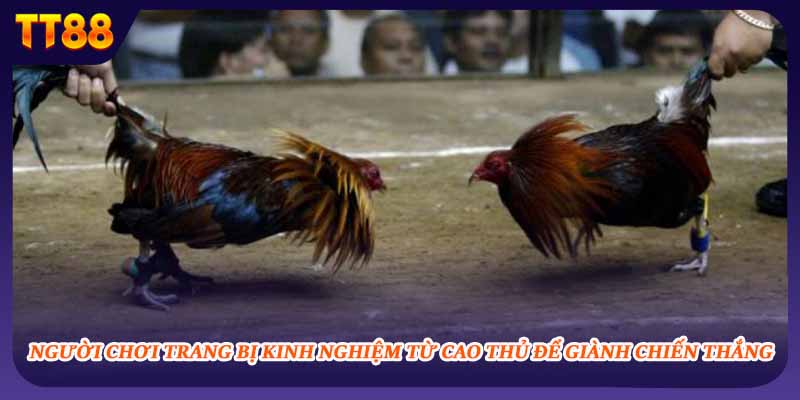 Người chơi trang bị kinh nghiệm từ cao thủ để giành chiến thắng