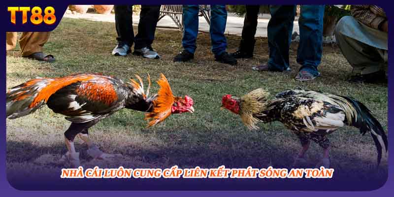 Nhà cái luôn cung cấp liên kết phát sóng an toàn