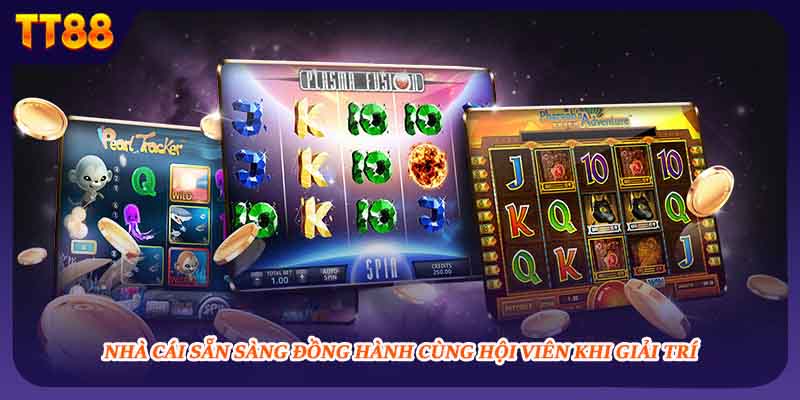 Nhà cái sẵn sàng đồng hành cùng hội viên khi giải trí 