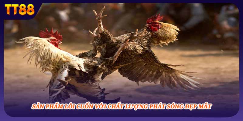 Sản phẩm lôi cuốn với chất lượng phát sóng đẹp mắt 