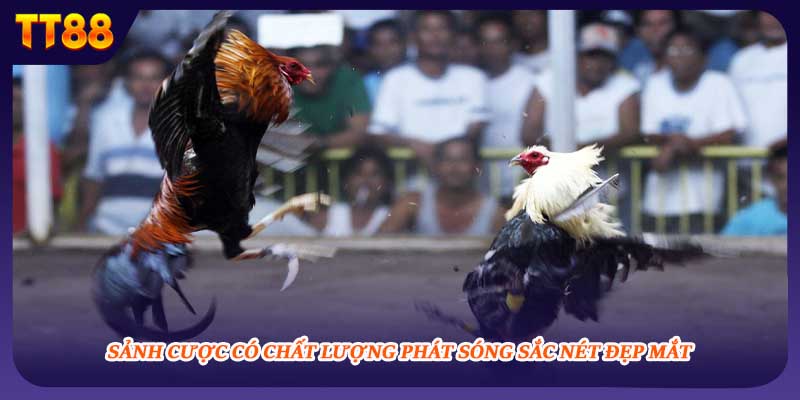 Sảnh cược có chất lượng phát sóng sắc nét đẹp mắt