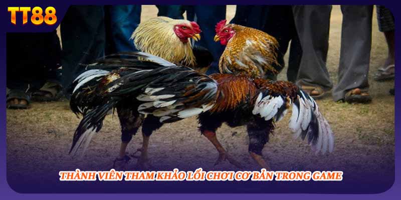 Thành viên tham khảo lối chơi cơ bản trong game